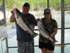 (07/20/2018) - Nice Striped Bass